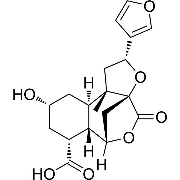 Diosbulbin C 20086-07-1